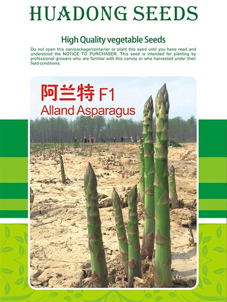 向朋友講解蘆筍育苗技術要點