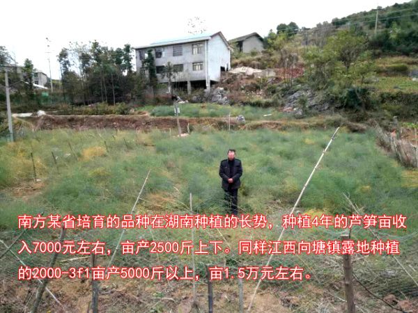 2016.12.22——不同品種產量與長勢的差別巨大