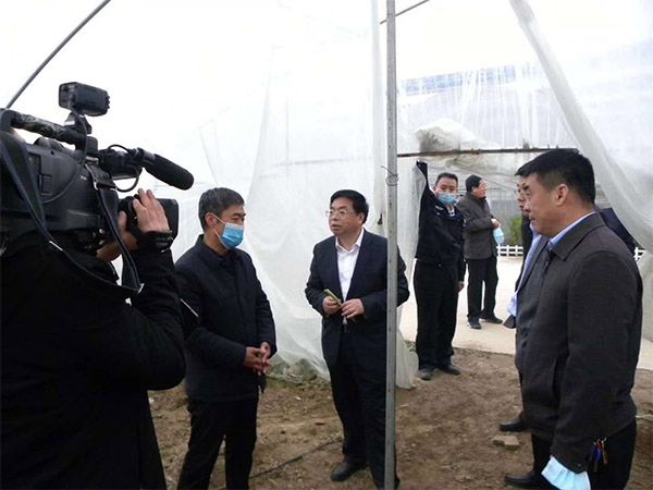3.30：縣委張乾山書記帶領相關部門領導再科技園檢查指導現代農業生產